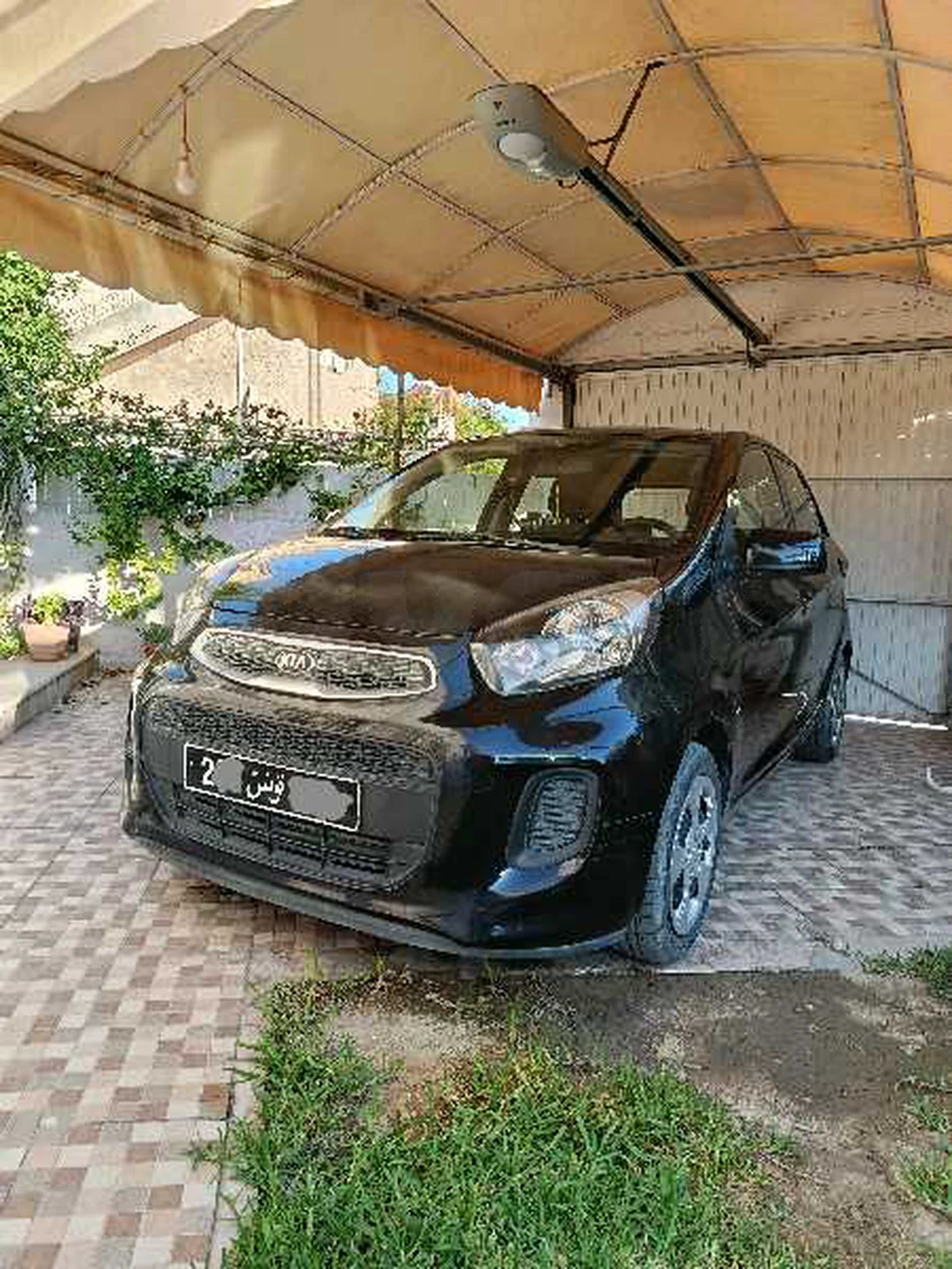 Carte voiture Kia Picanto
