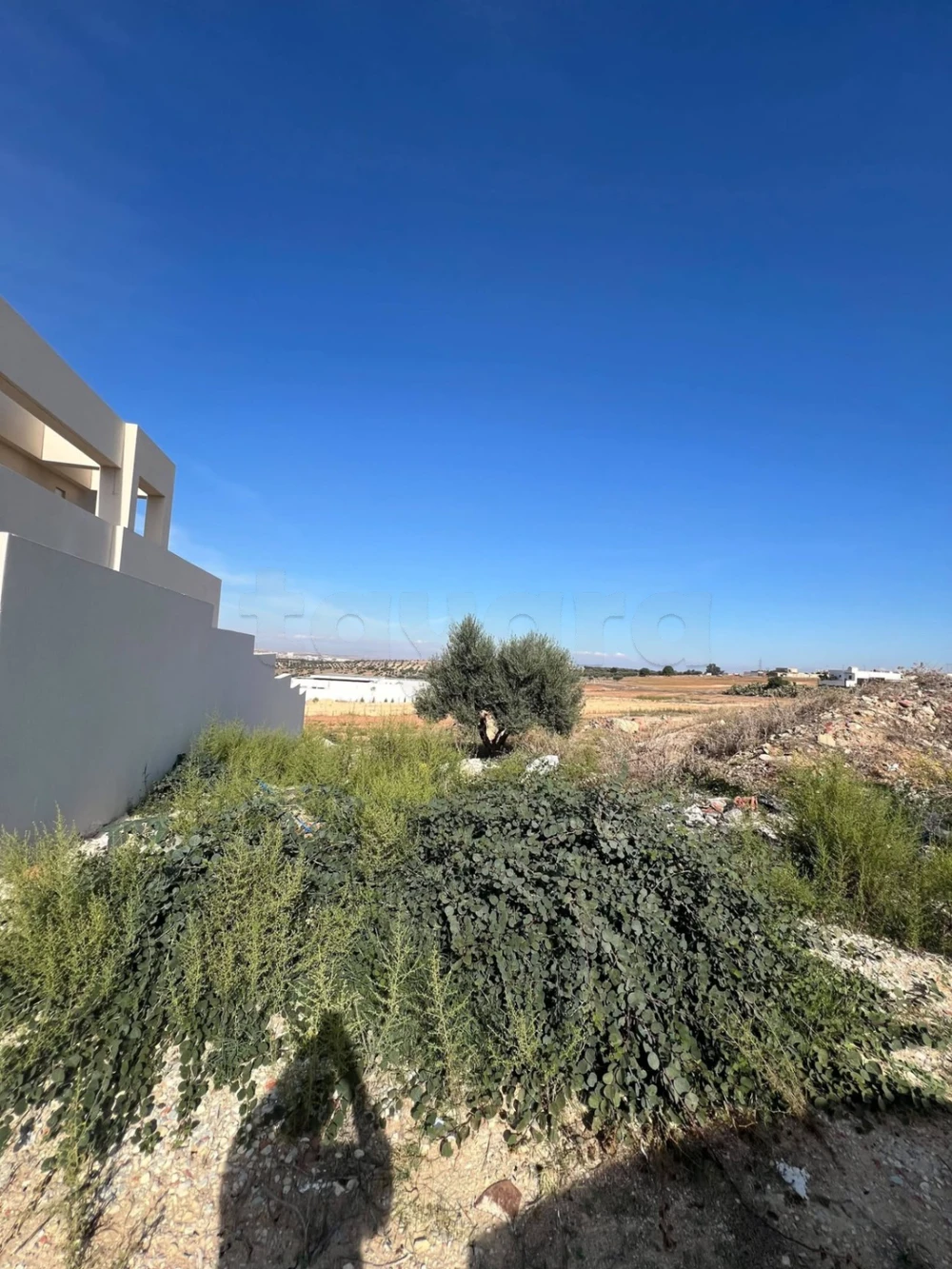 🏡 Terrain à vendre aux Jardins d'El Menzah 2 – Belle opportunité !