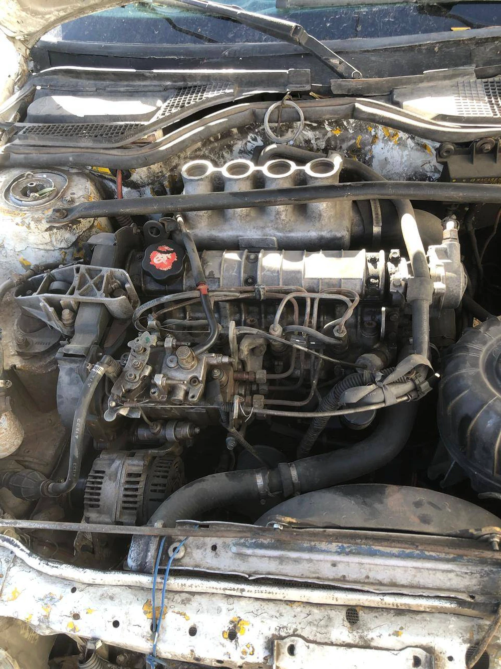 Renault 19