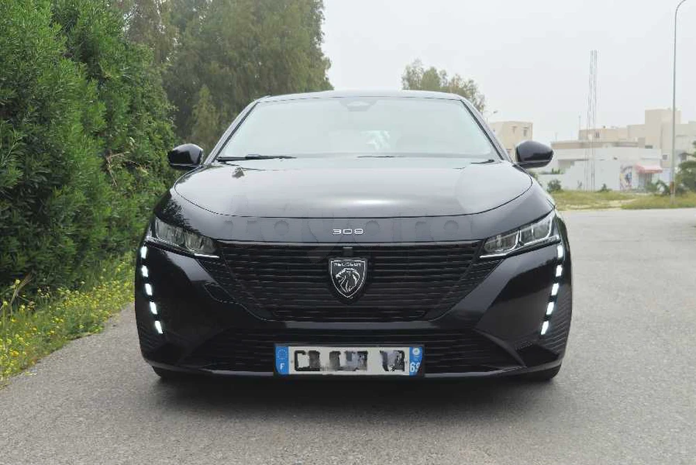 Carte voiture Peugeot 308