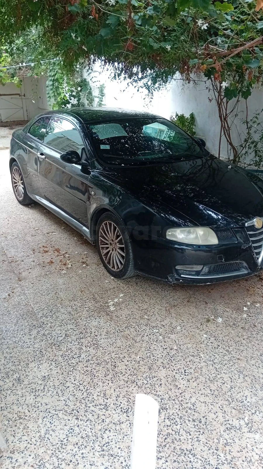 Carte voiture Alfa Romeo GT