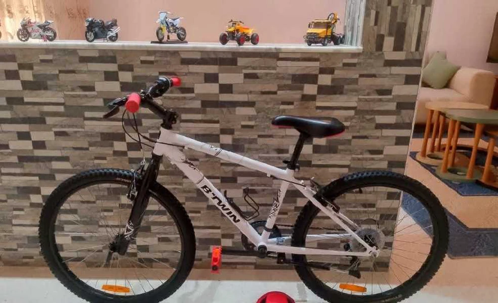 Bicyclette Rockraider 24 Pouces Presque Neuf Importer De France 🇫🇷