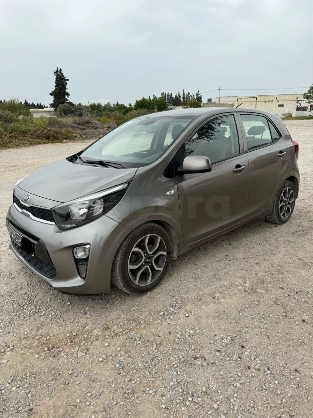 Carte voiture Kia Picanto