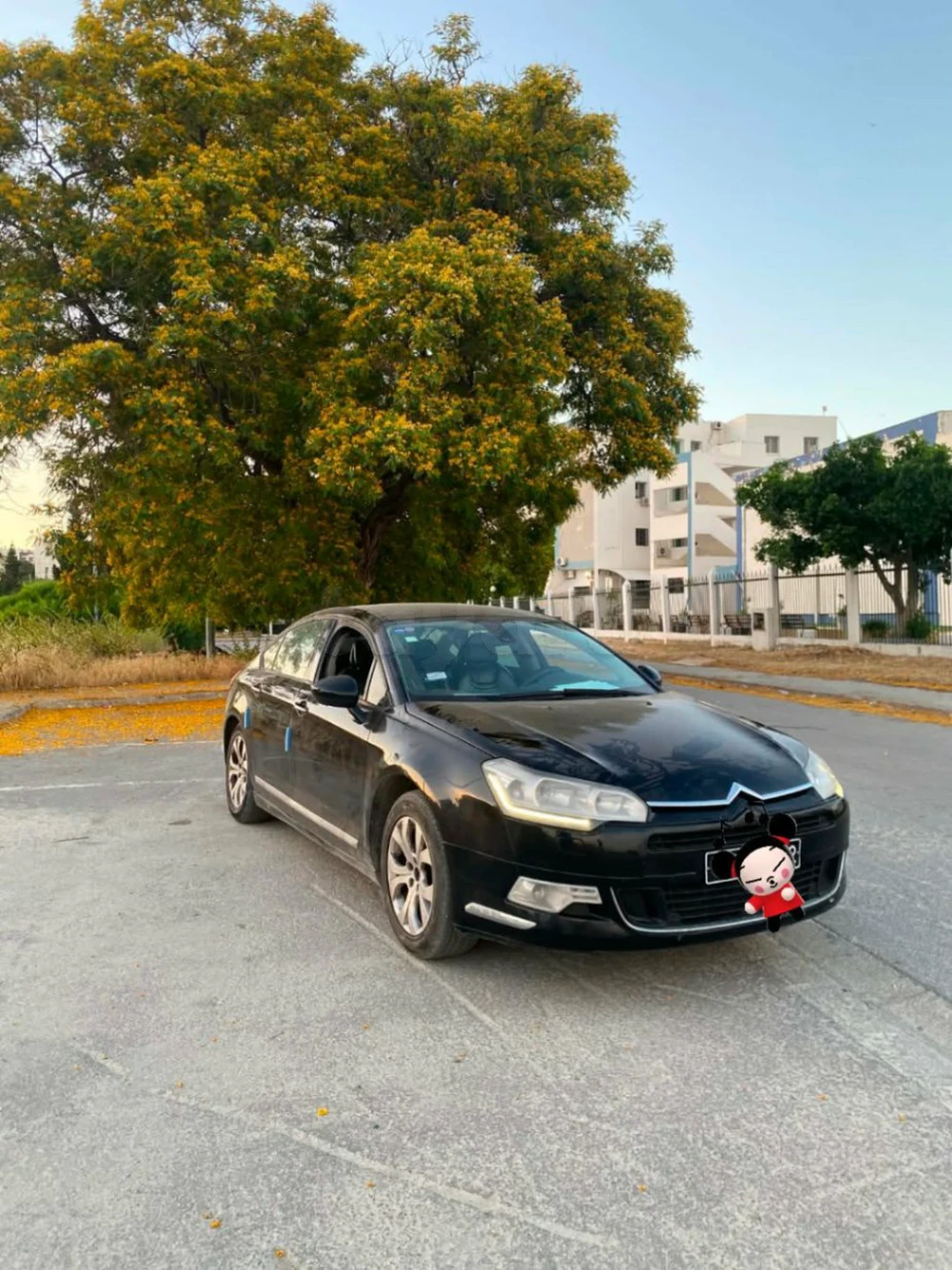 Citroen C5