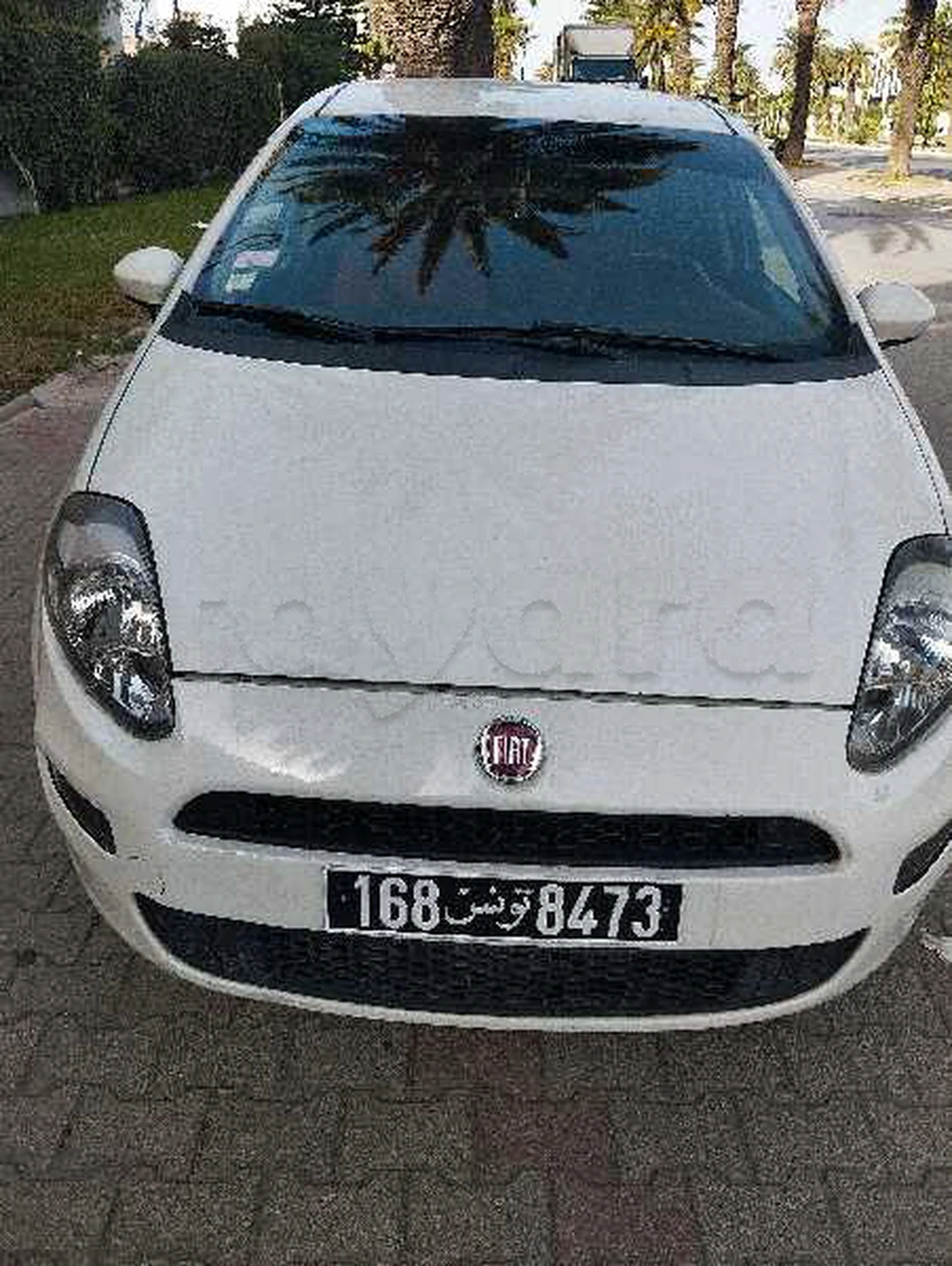 Carte voiture Fiat Punto