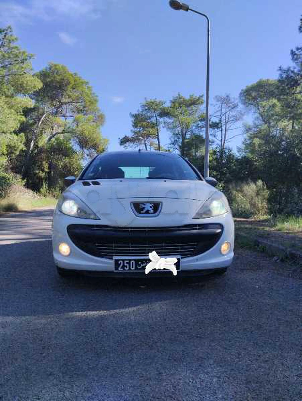 Carte voiture Peugeot 206+