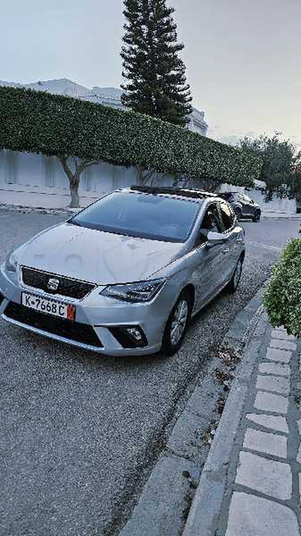 Carte voiture SEAT Ibiza