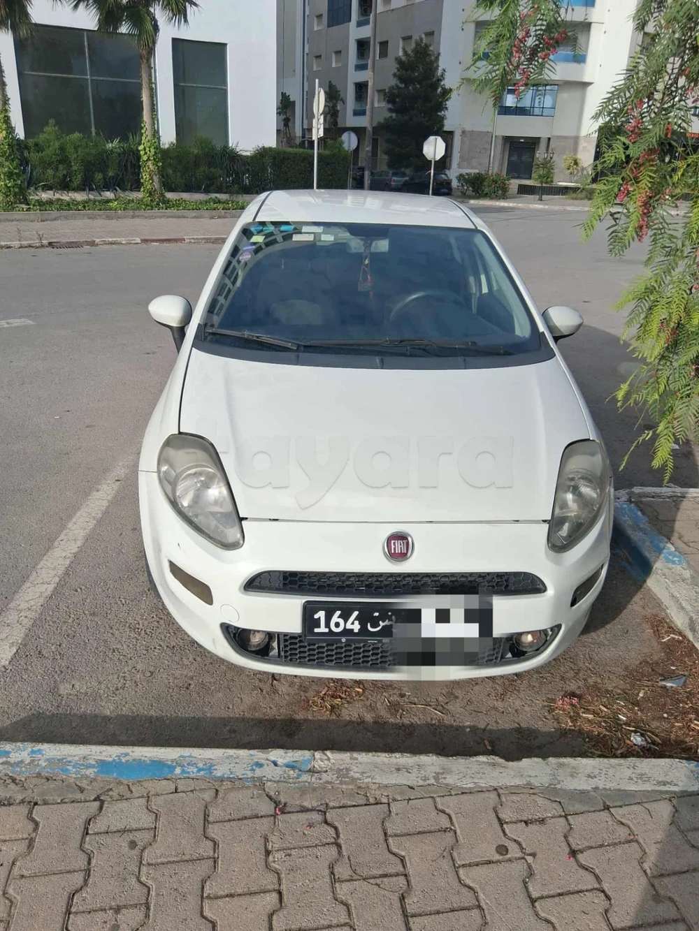 Carte voiture Fiat Punto