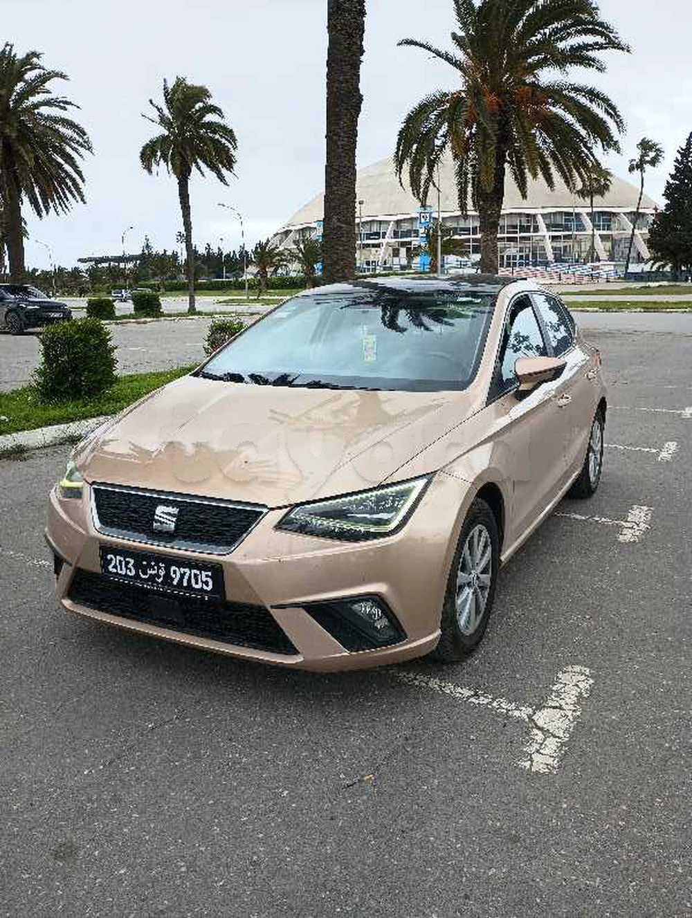 Carte voiture SEAT Ibiza