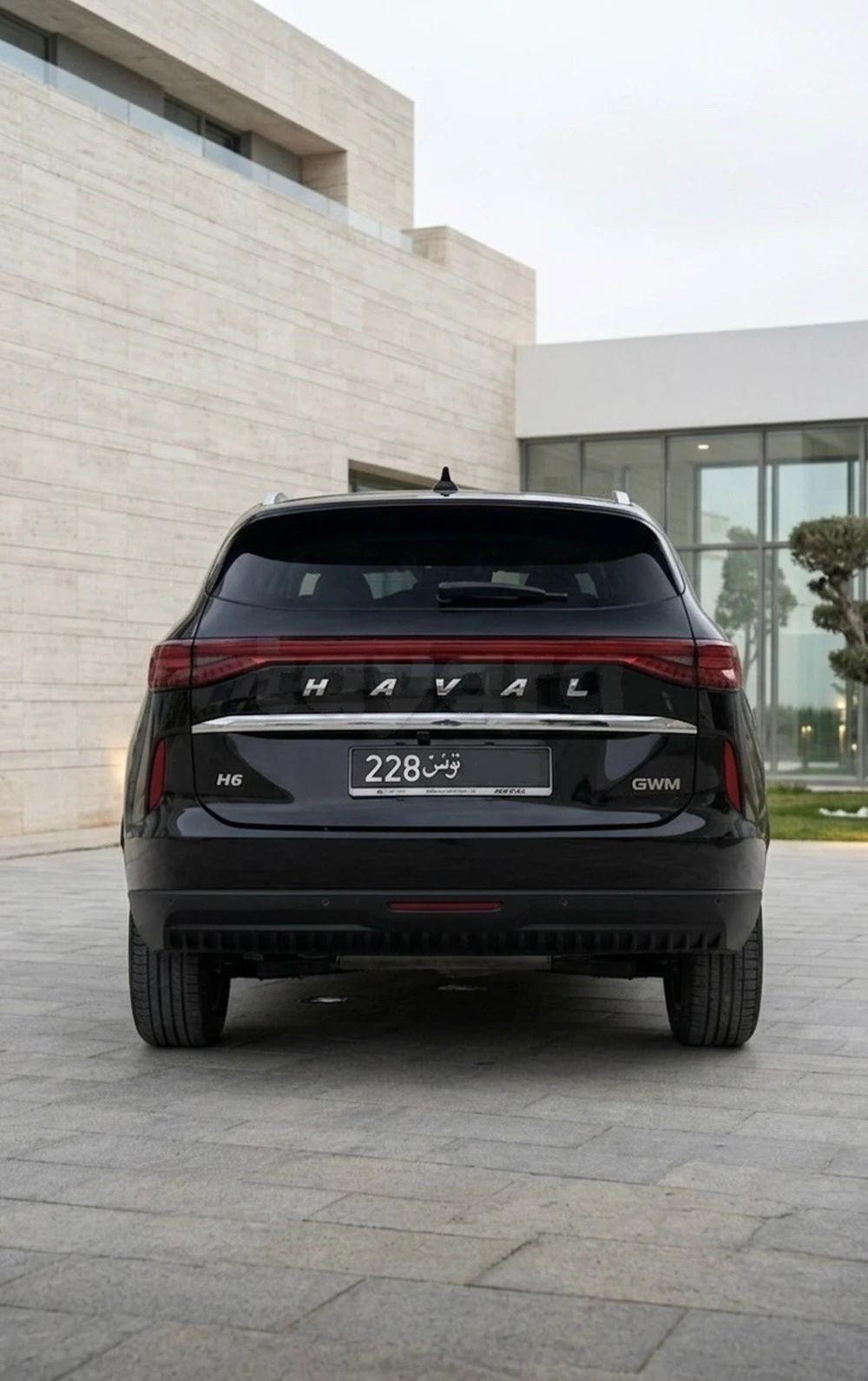 Carte voiture Haval H6