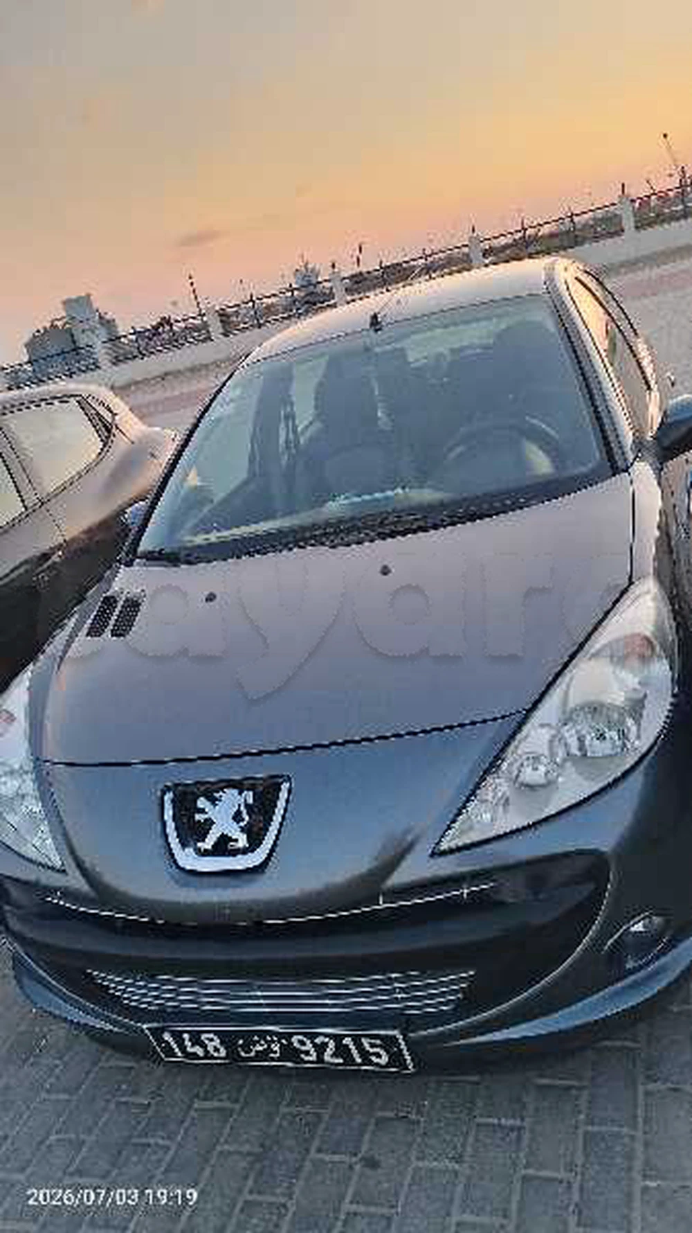 Carte voiture Peugeot 206+