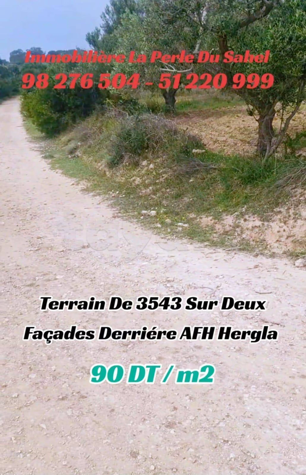 UN TERRAIN DE 3543 m2 DERRIÈRE AFH HERGLA