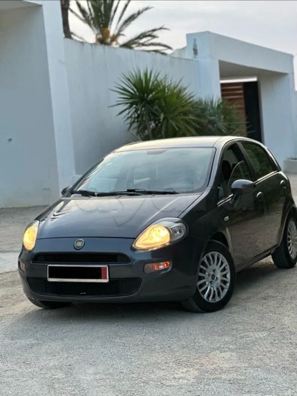 Carte voiture Fiat Punto