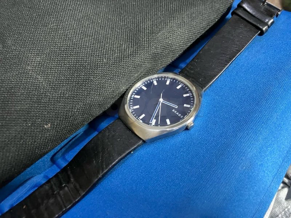 Montre Skagen