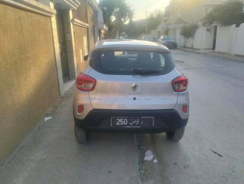 Renault R20