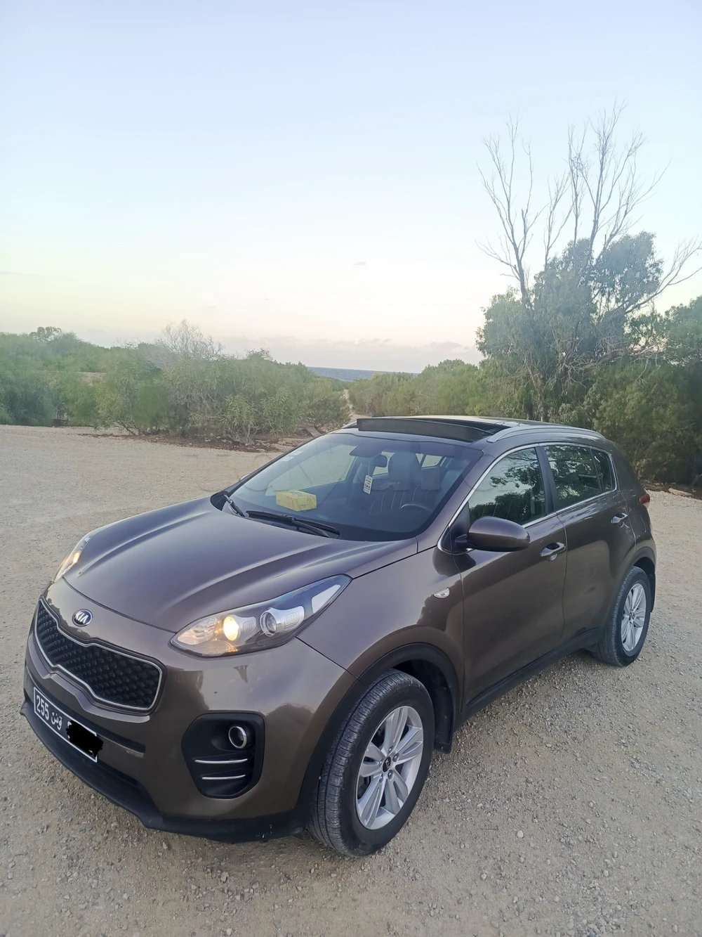 Carte voiture Kia Sportage