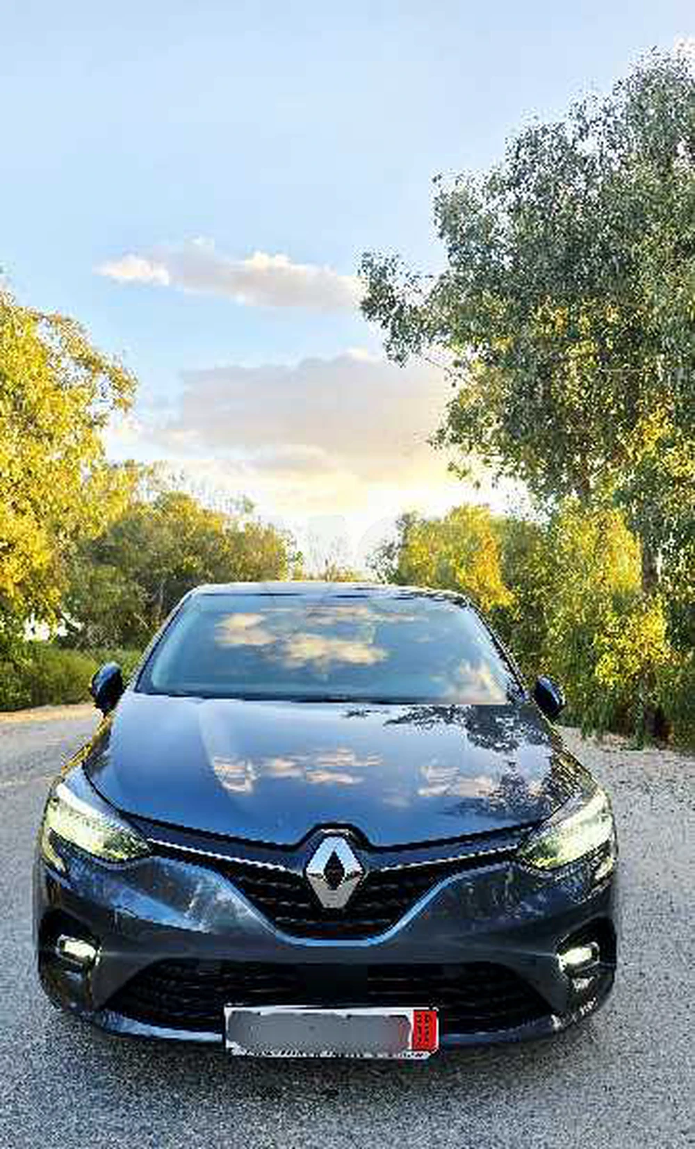 Carte voiture Renault Clio