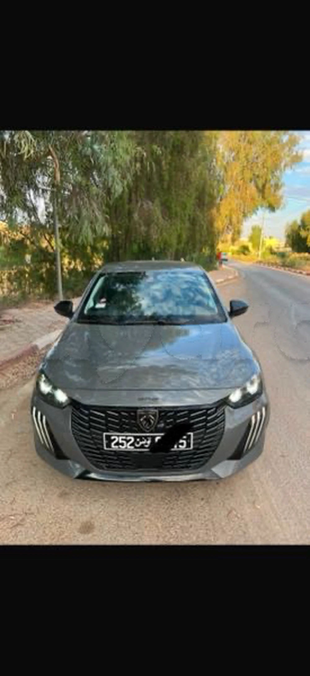 Carte voiture Peugeot 208