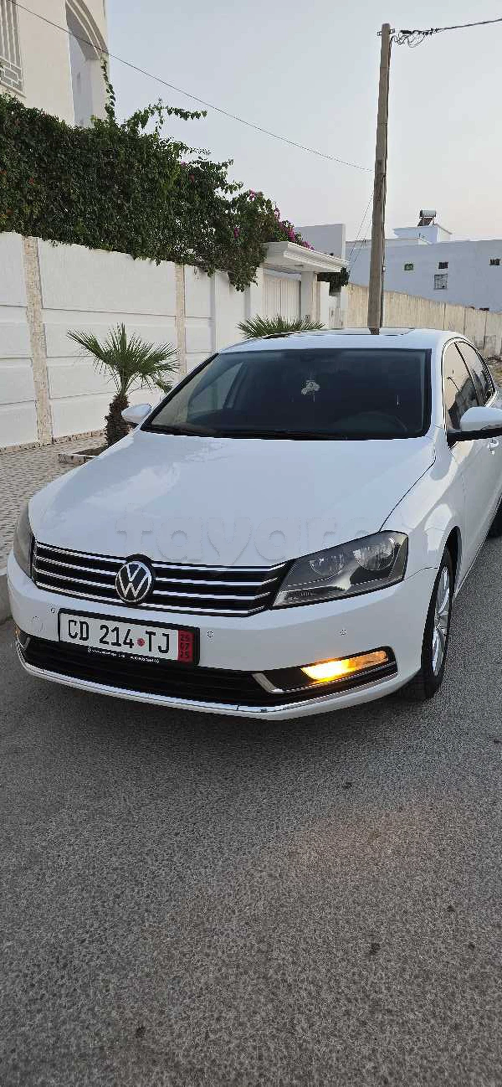 Carte voiture Volkswagen Passat