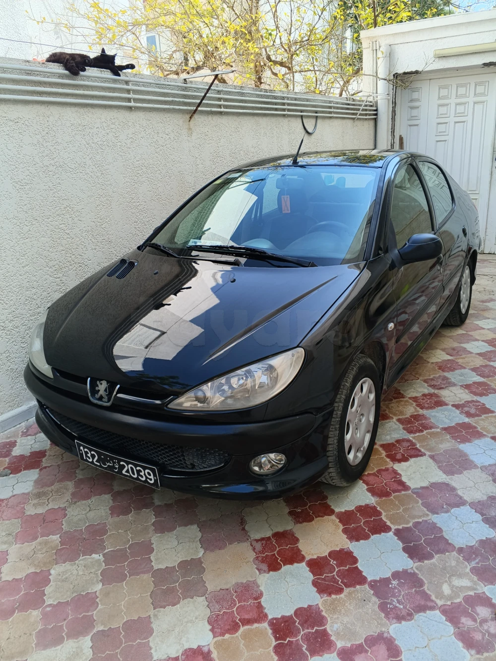 Carte voiture Peugeot 206