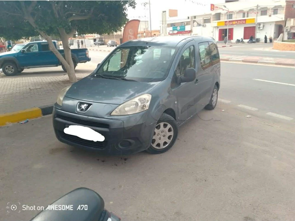 Peugeot Tepee