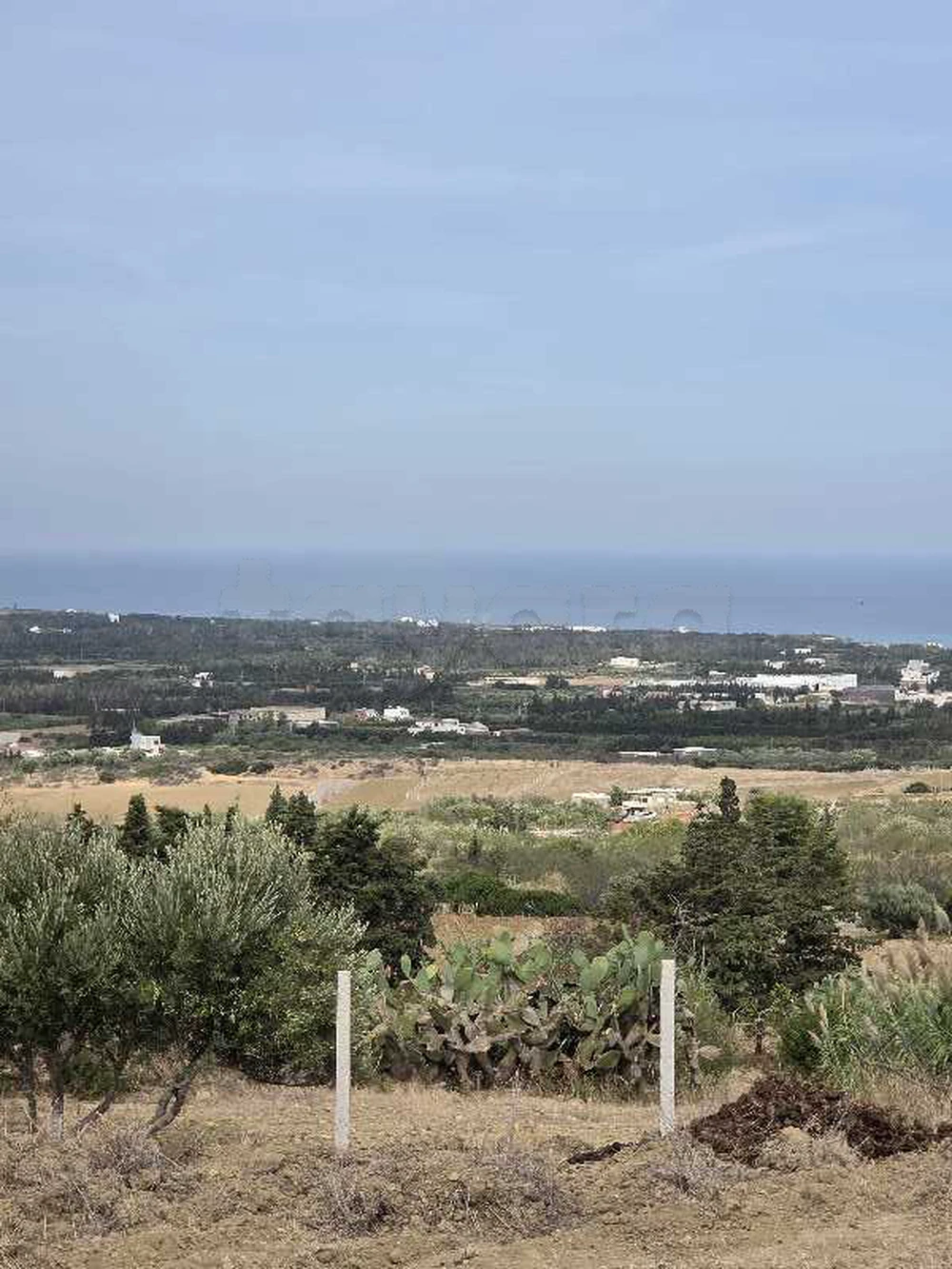 terrain vu sur mer a rafraf