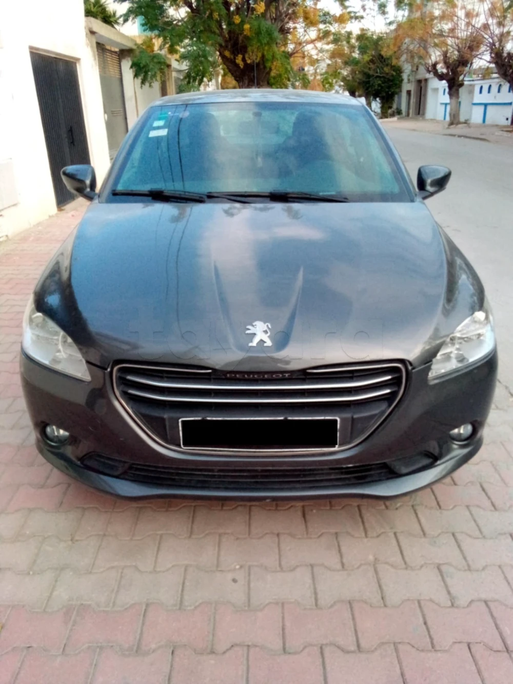 Carte voiture Peugeot 301