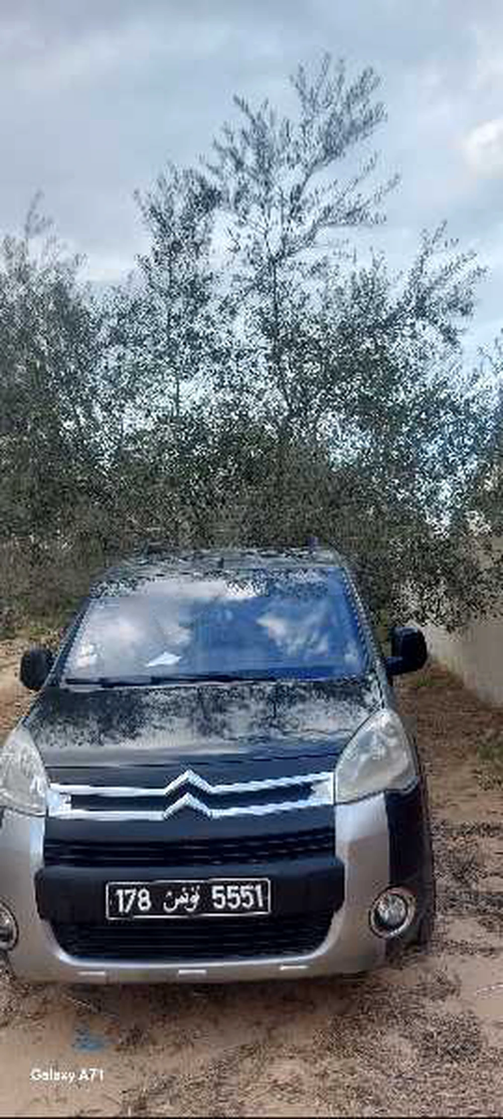 Carte voiture Citroen Berlingo