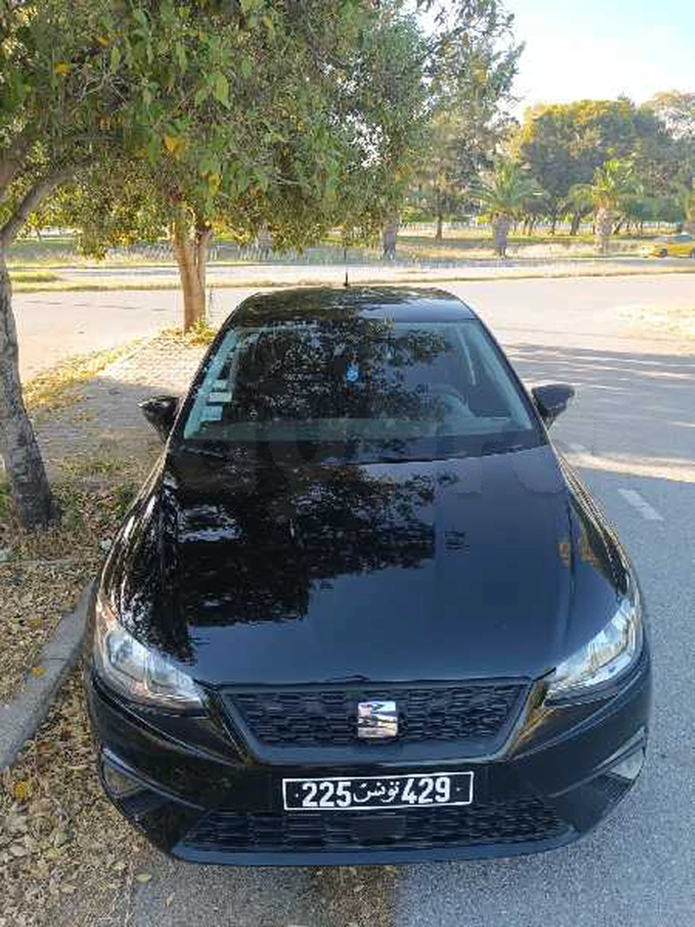 Carte voiture SEAT Ibiza