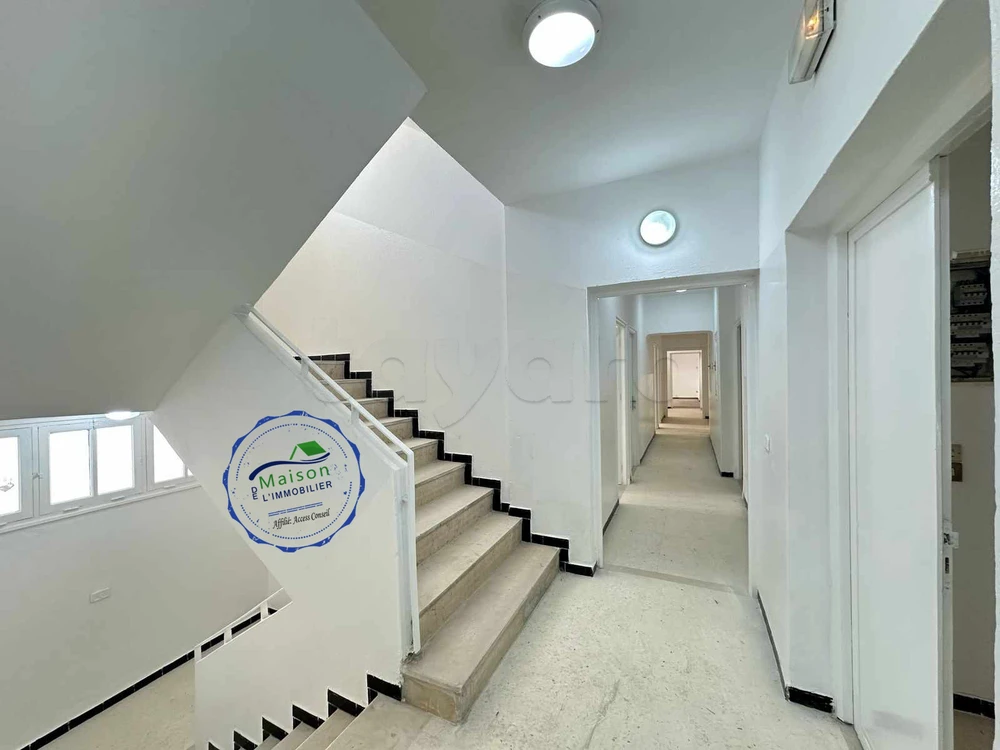 A louer Immeuble 4 niv 3000 m² Bab Saadoun Tunis