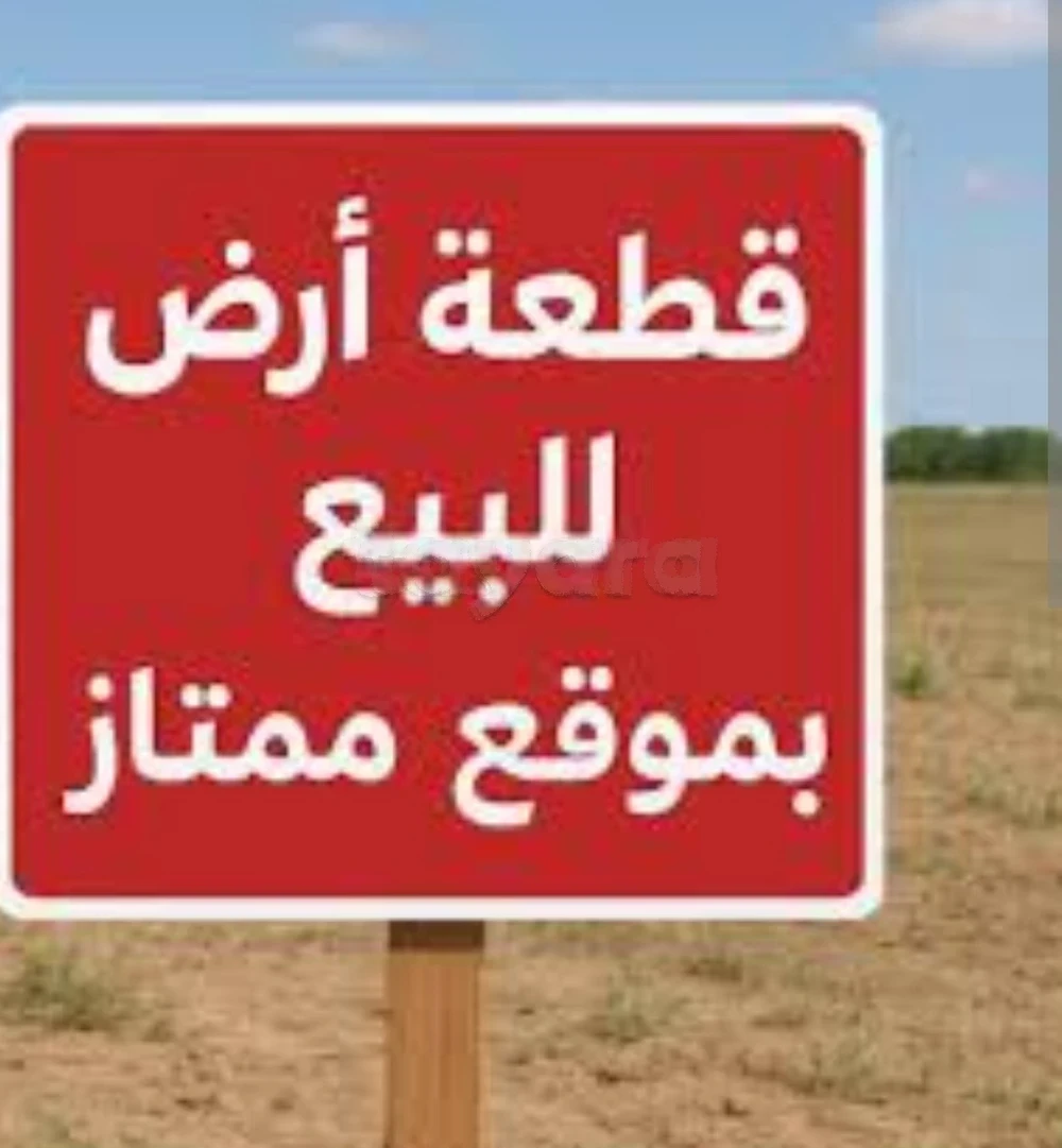 قطعة أرض للبيع بصفاقس 1560 م² قطعة أرض للبيع بصفاقس كائنة بطريق العين كلم 17 مساحتها الجملية 1560 م² (رسم عربي و مسجلة في دفتر خانة) تقع في منطقة سكنية قريبة من الكياس الرئيسي 250م و الماء والضوء واصل والجامع قريب منها أيضا للإستفسار والتقليب يرجى الاتصال