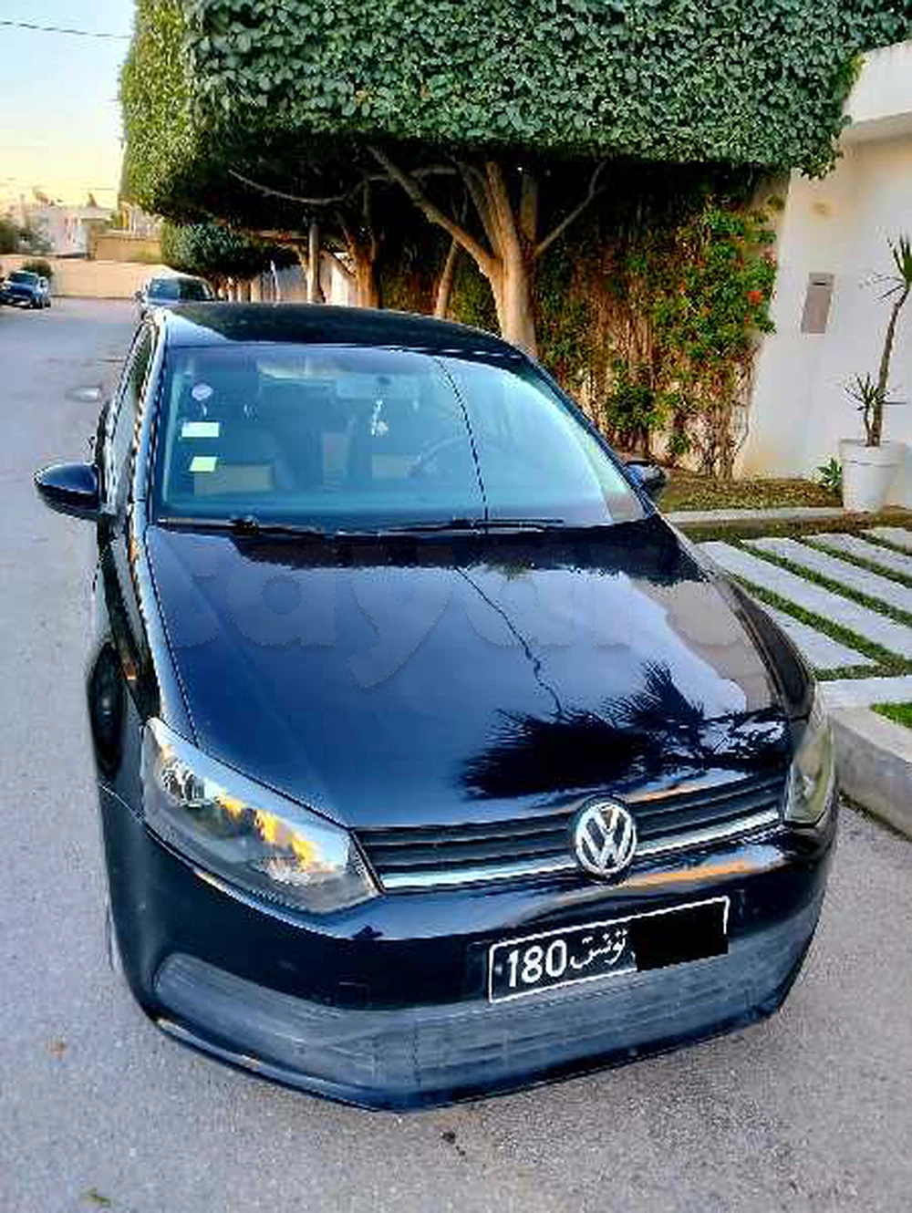 Carte voiture Volkswagen Polo