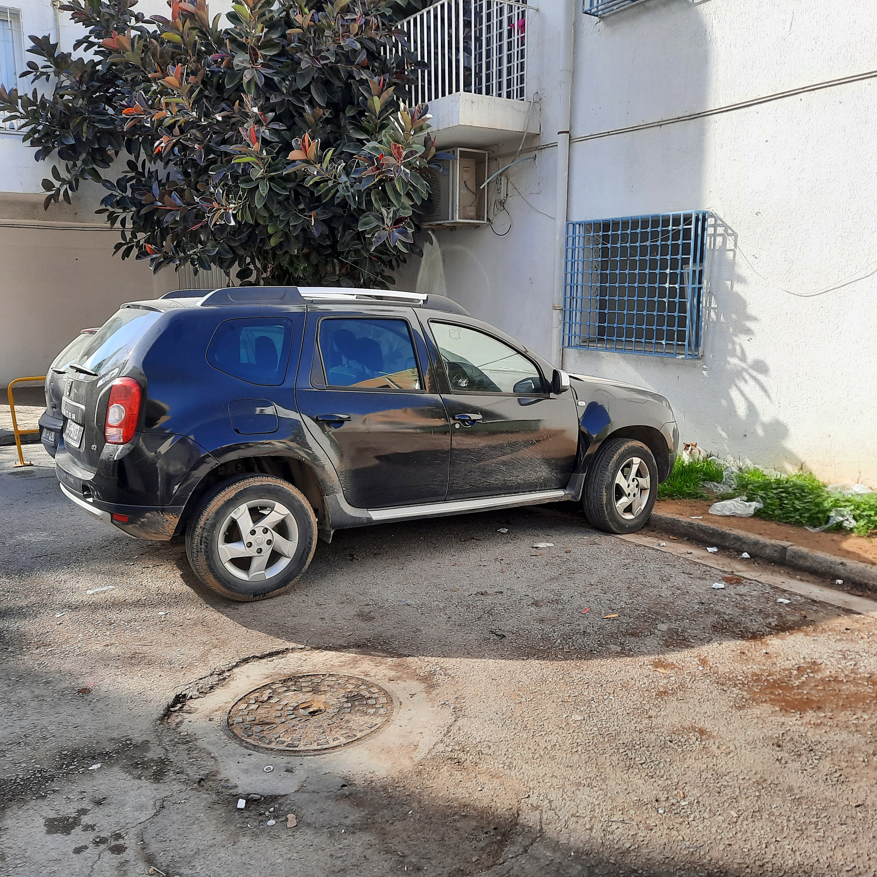 Carte voiture Dacia Duster