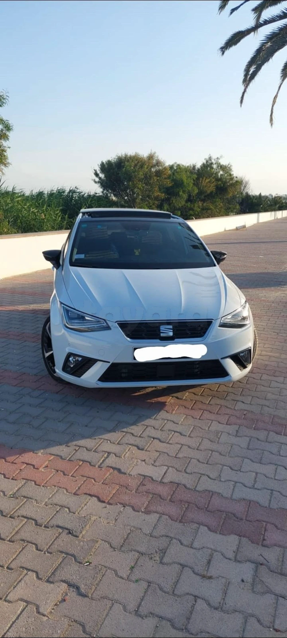 Carte voiture SEAT Ibiza