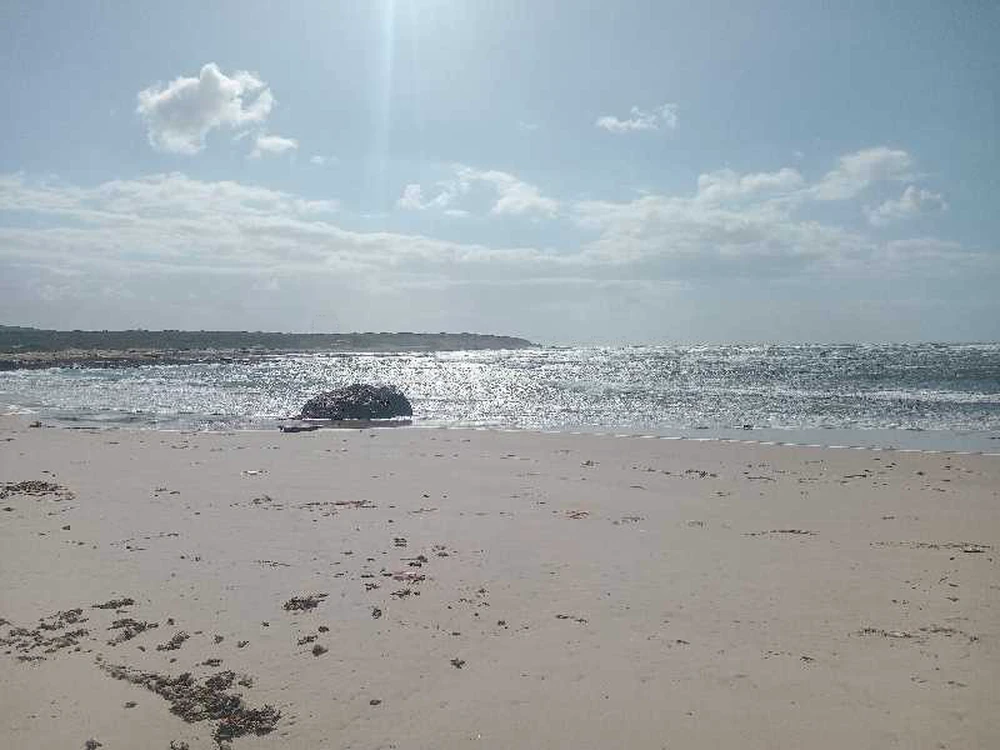 20000 m2 pieds dans l'eau la hawaria plage boukrim caf ghrab