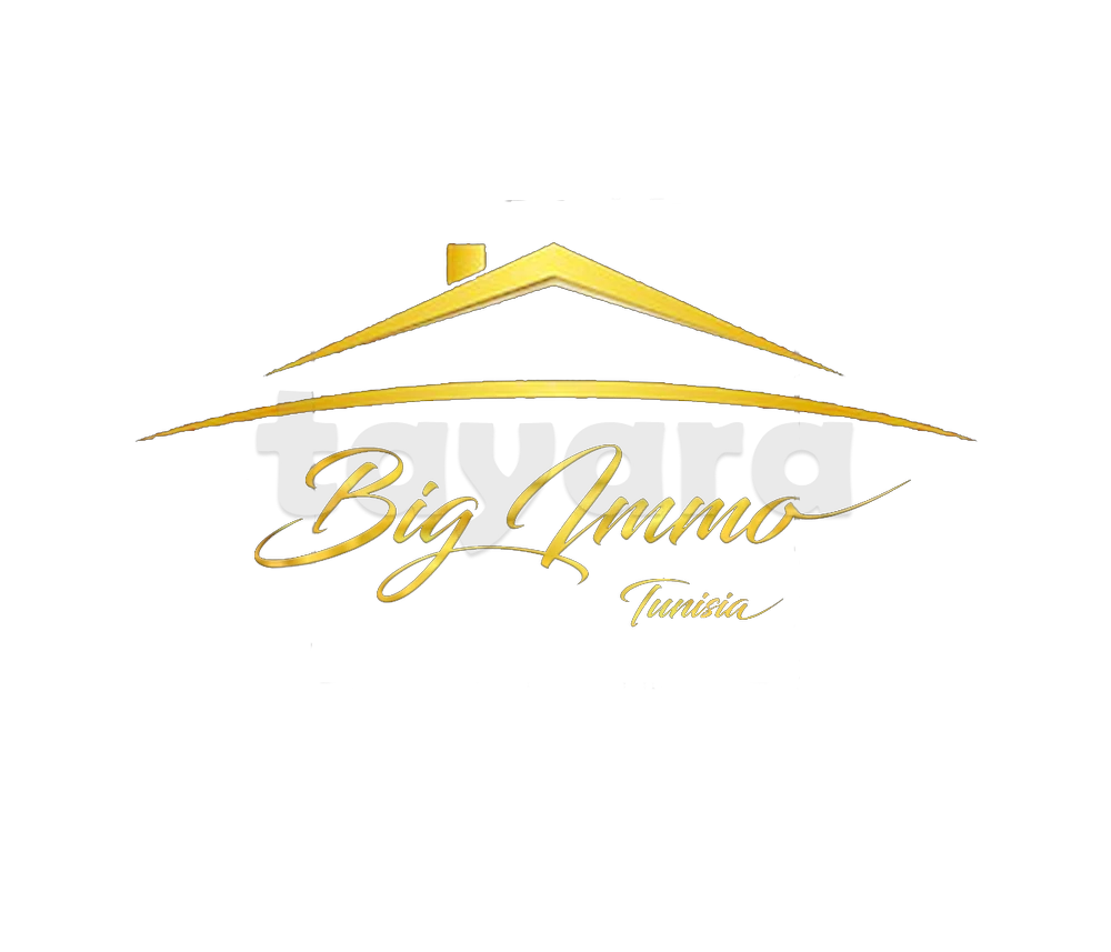 Shop's avatar of Big Immo Tunisia on tayara