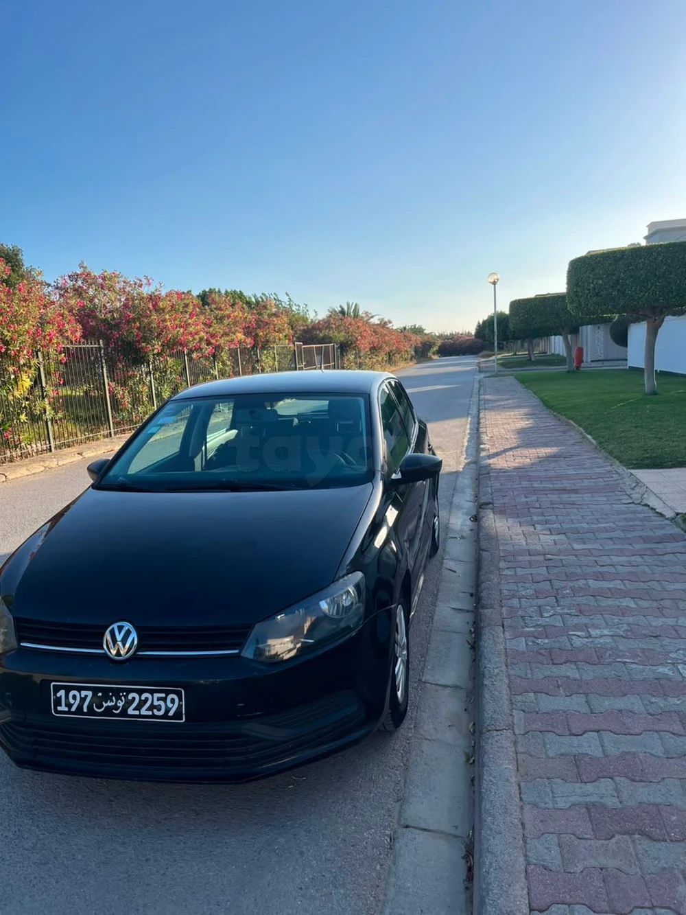 Carte voiture Volkswagen Polo
