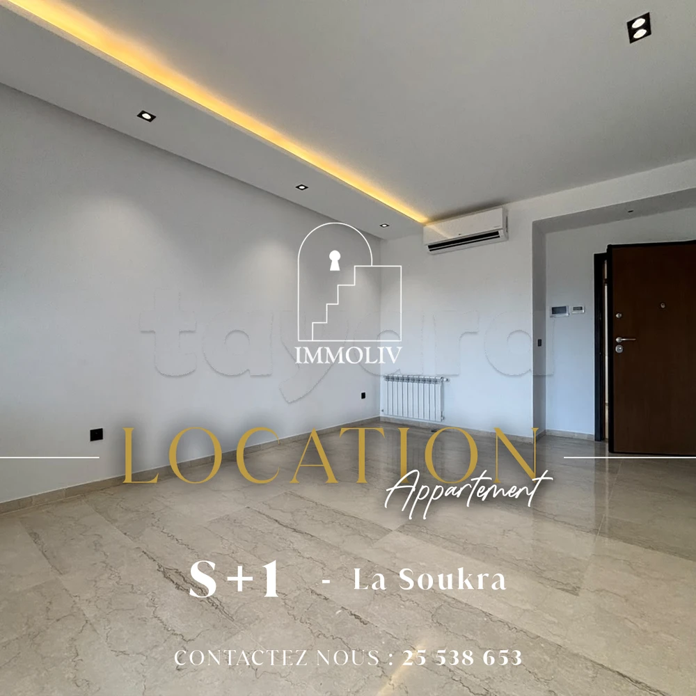 A louer un Appt S+1 à la Soukra