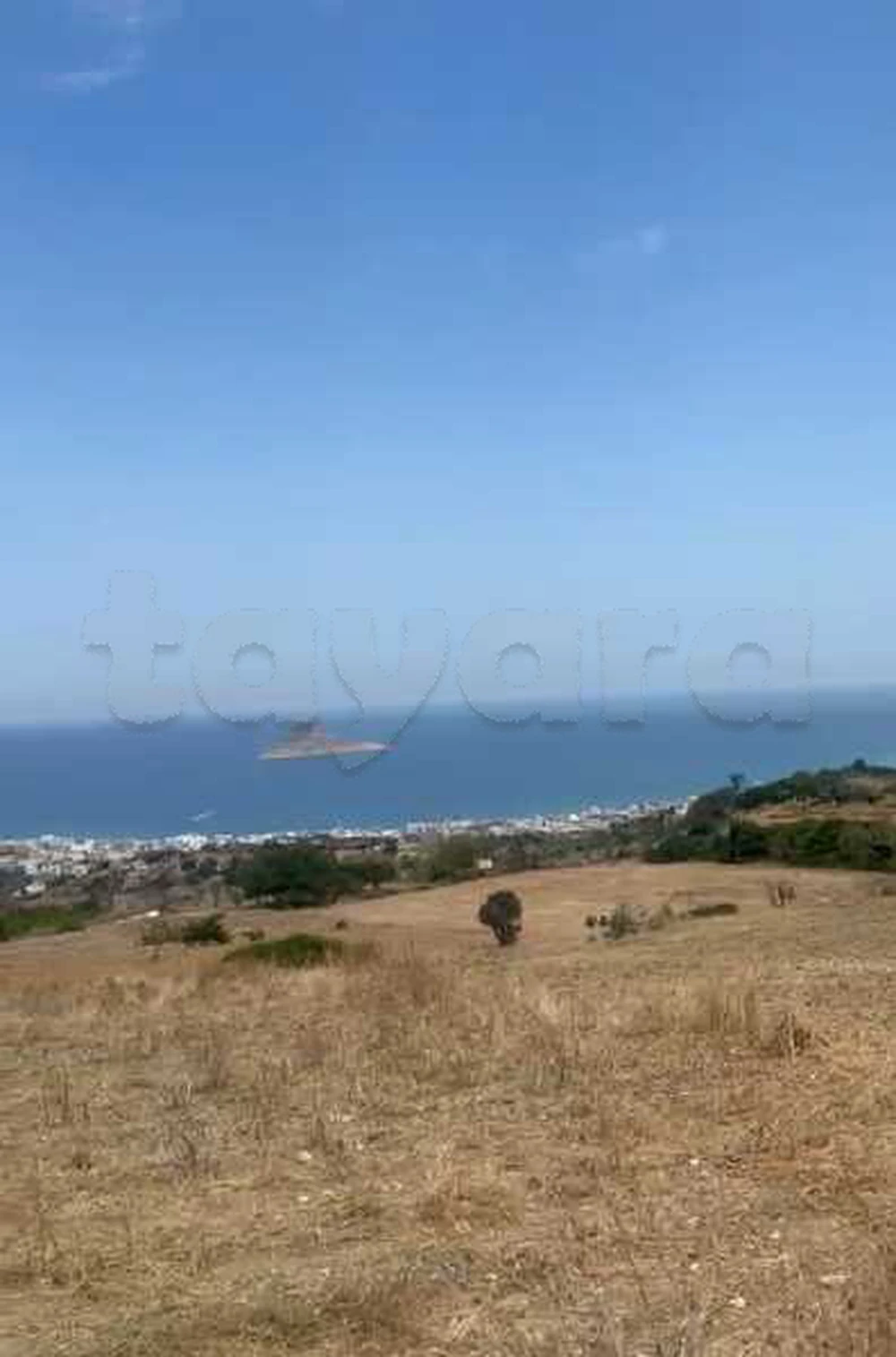 terrain a rafraf