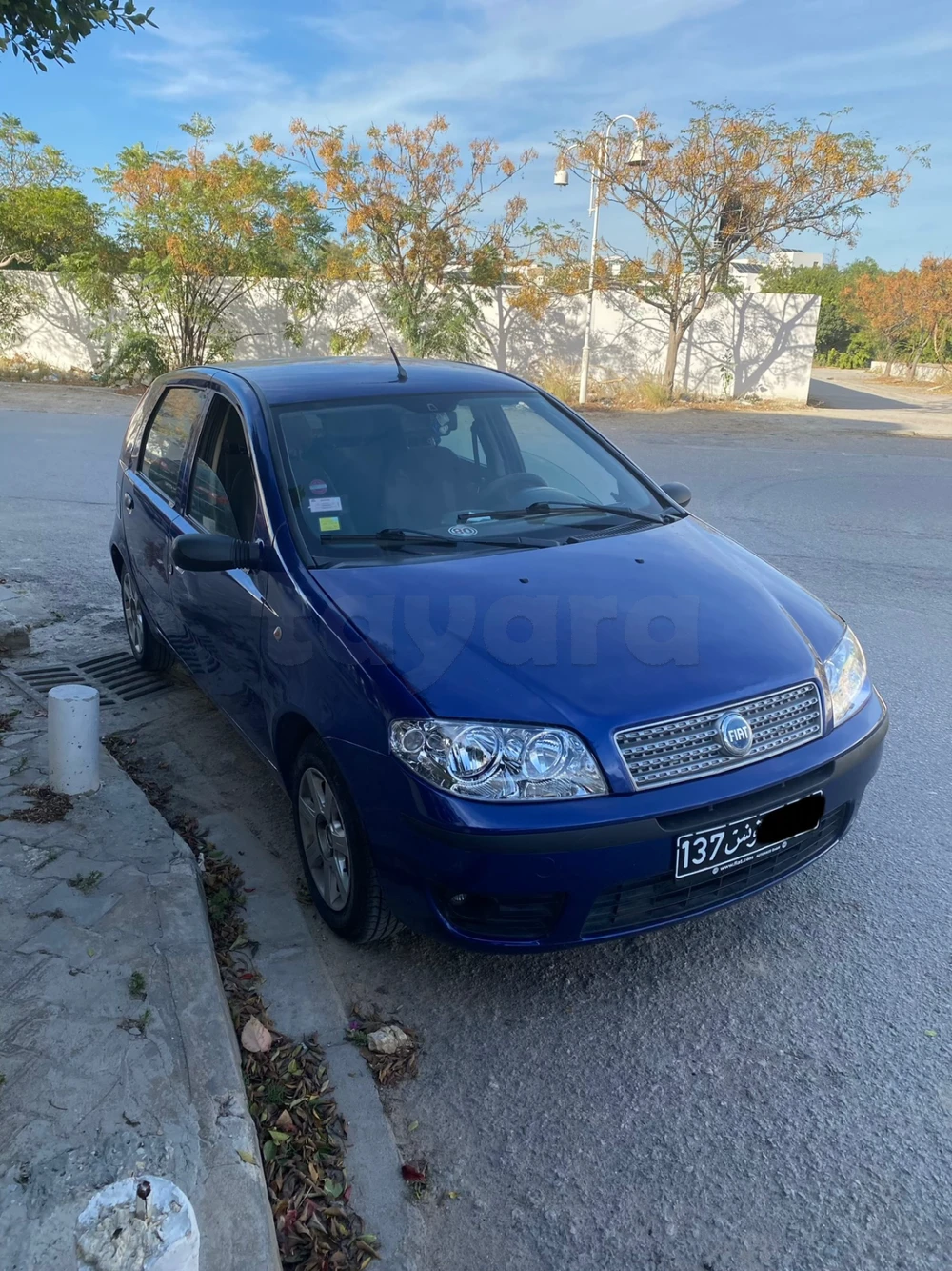 Carte voiture Fiat Punto