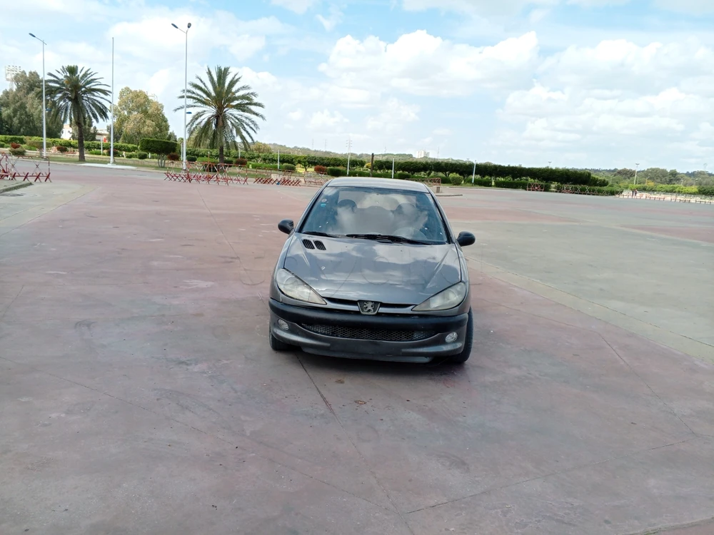 Carte voiture Peugeot 206