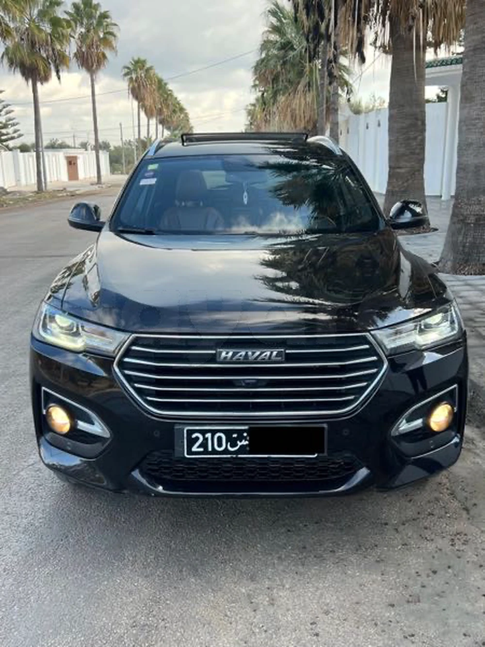 Carte voiture Haval H6