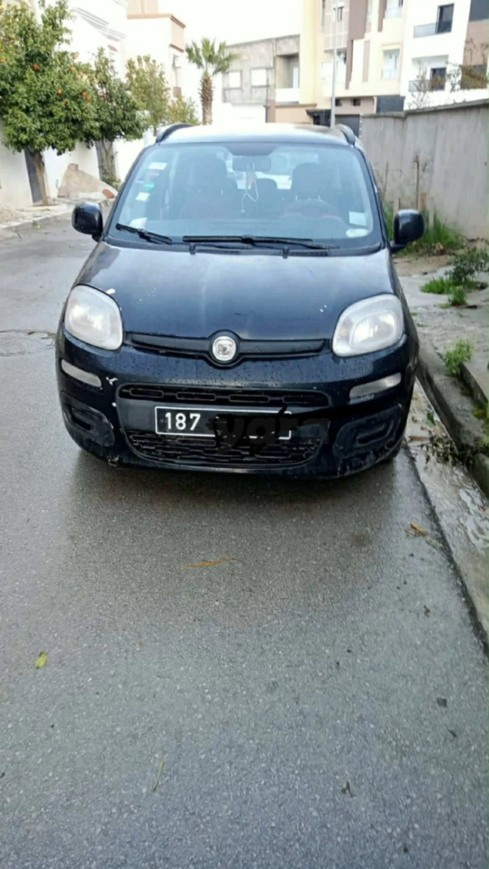 Carte voiture Fiat Panda