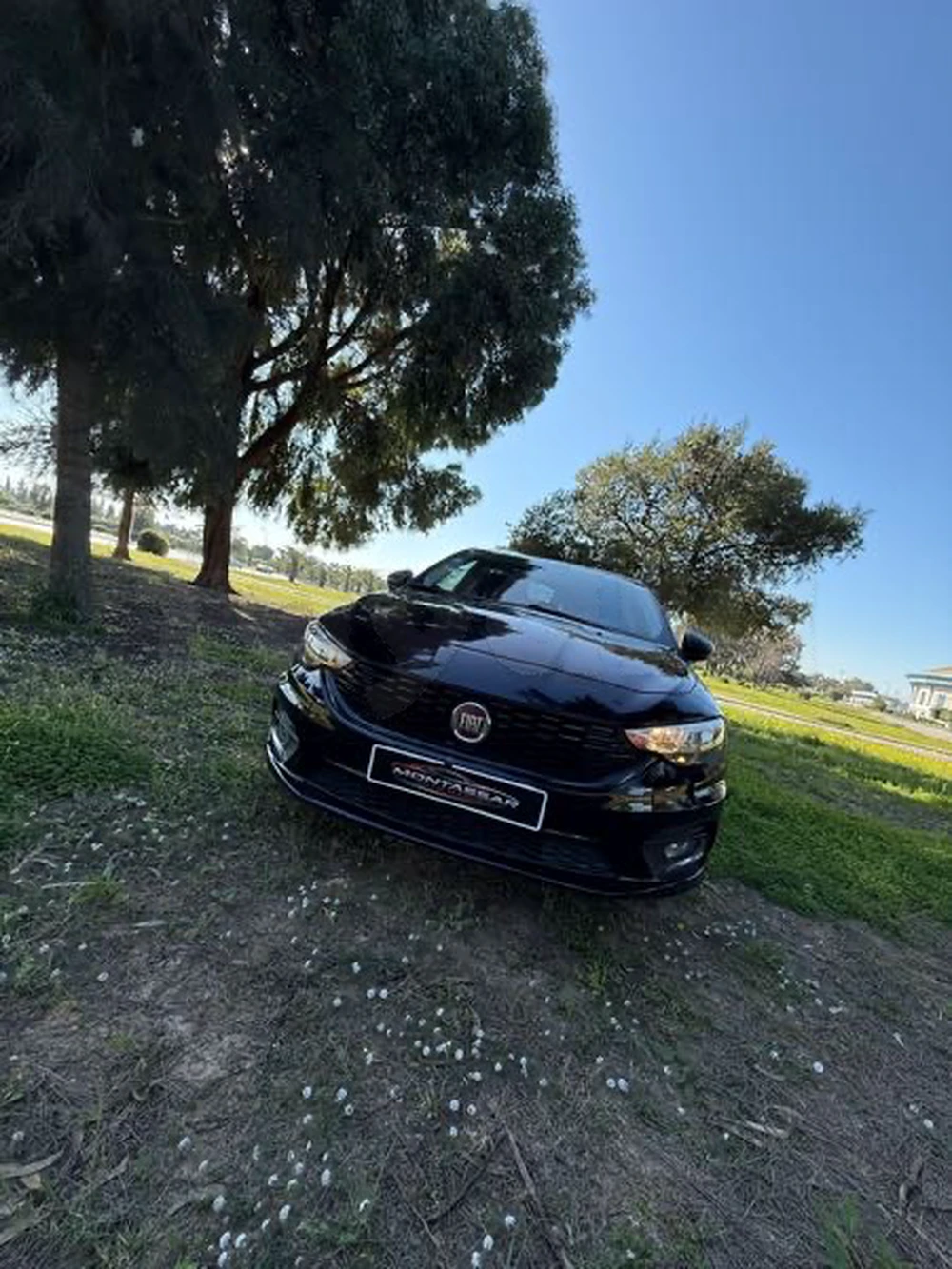 Carte voiture Fiat Tipo