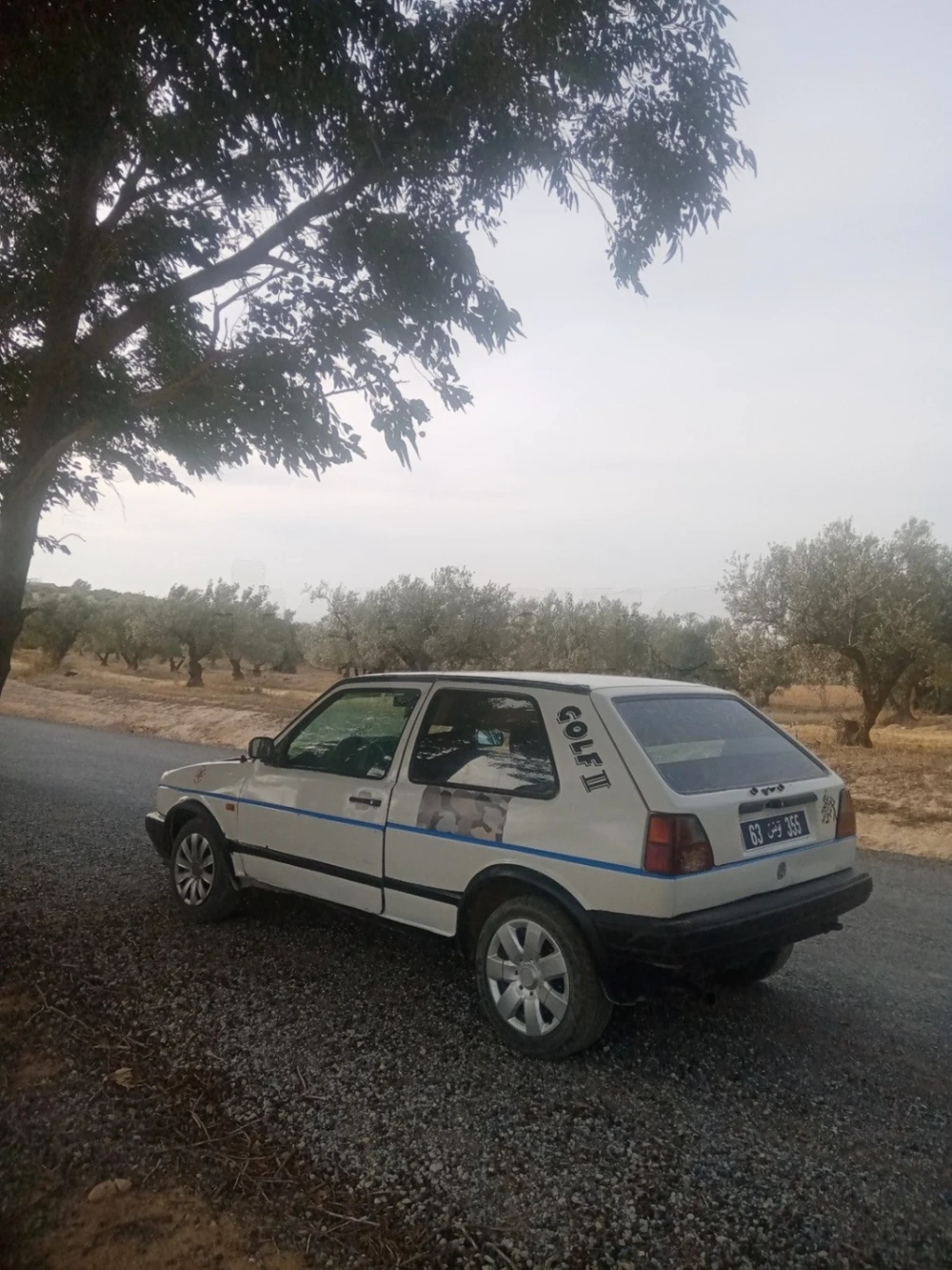 Carte voiture Volkswagen Golf