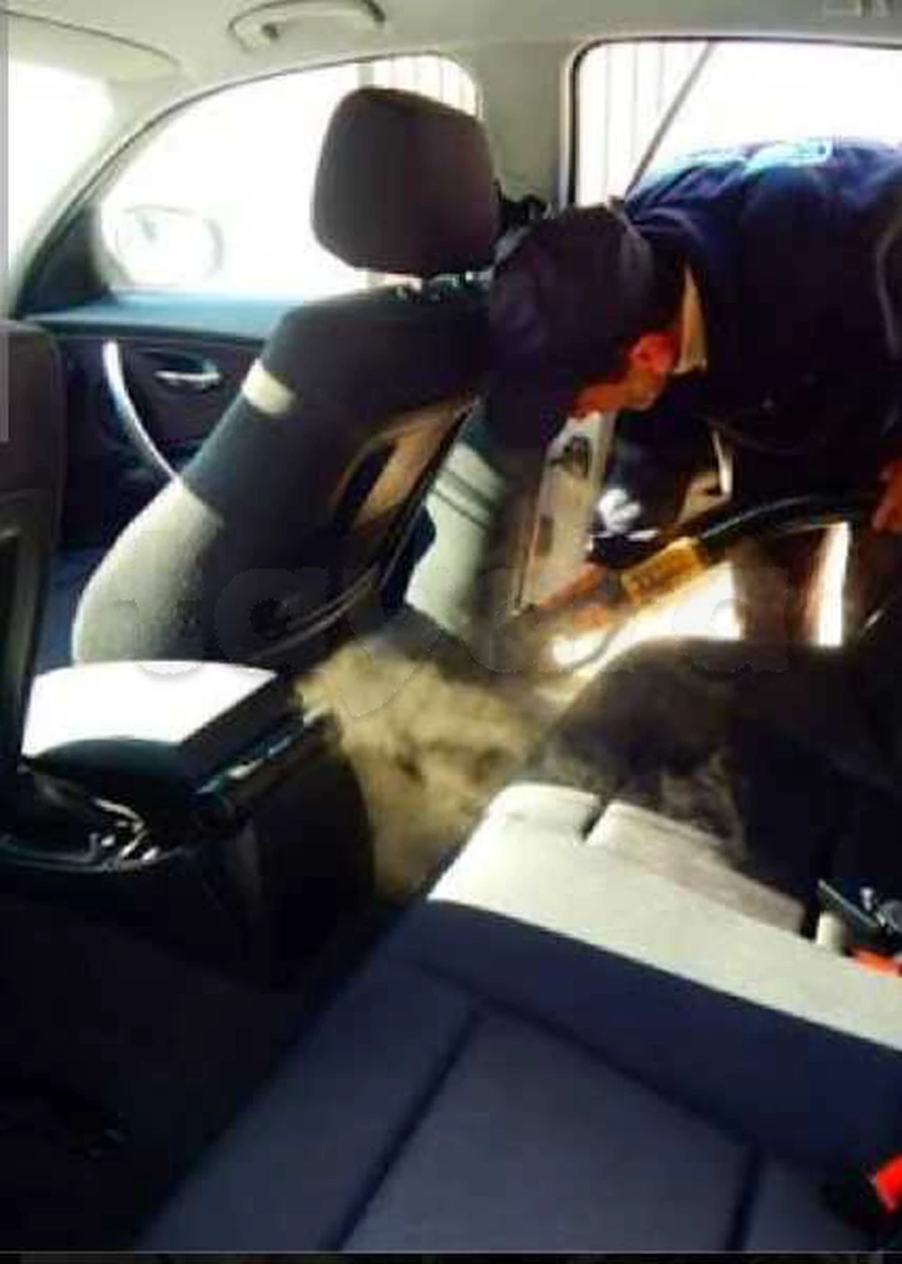 lavagiste professionnel