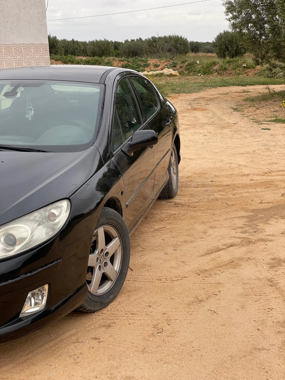 Peugeot 407