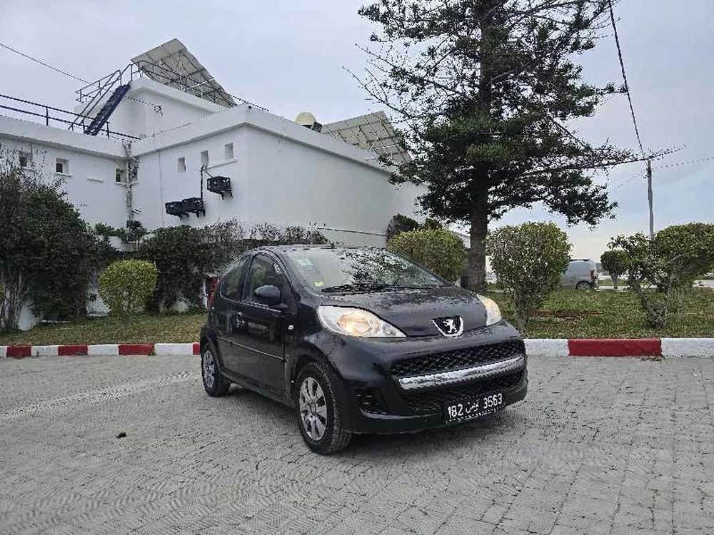 Carte voiture Peugeot 107