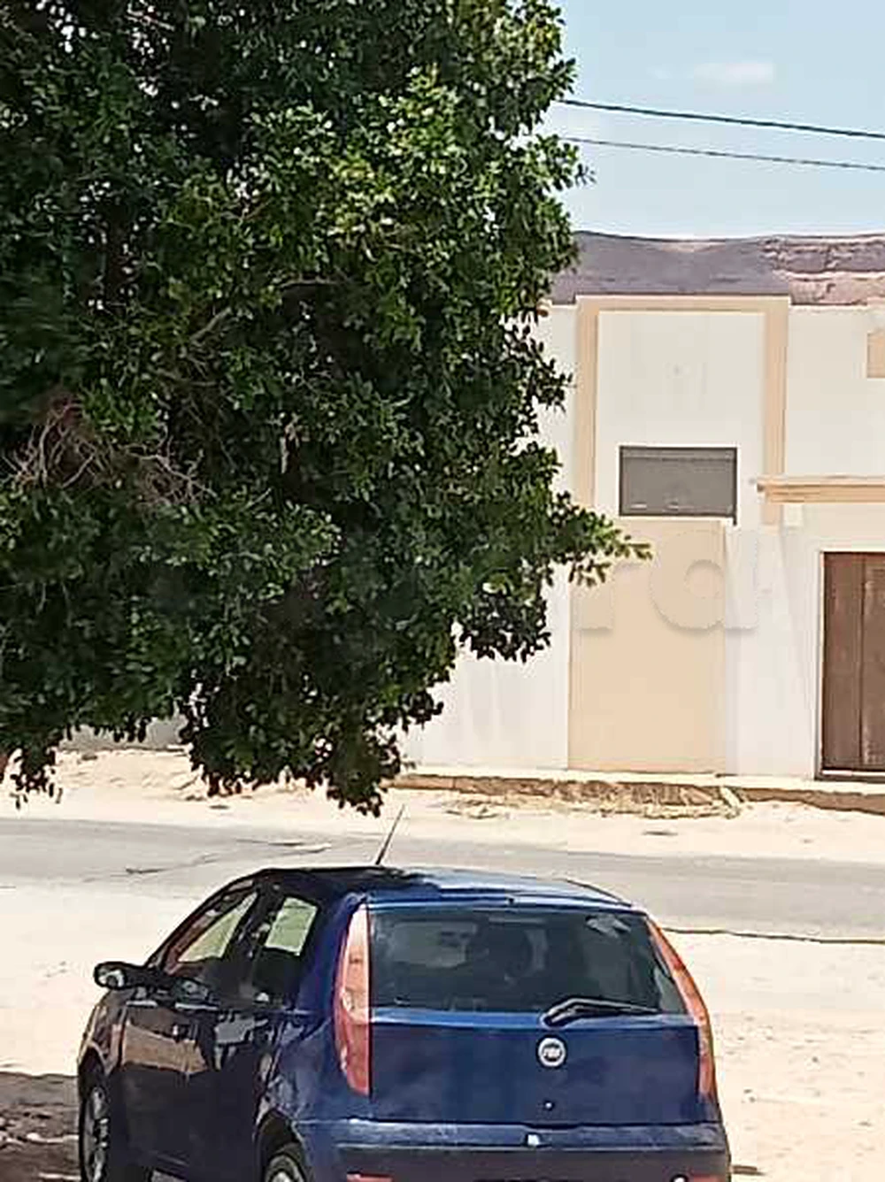 Carte voiture Fiat Punto