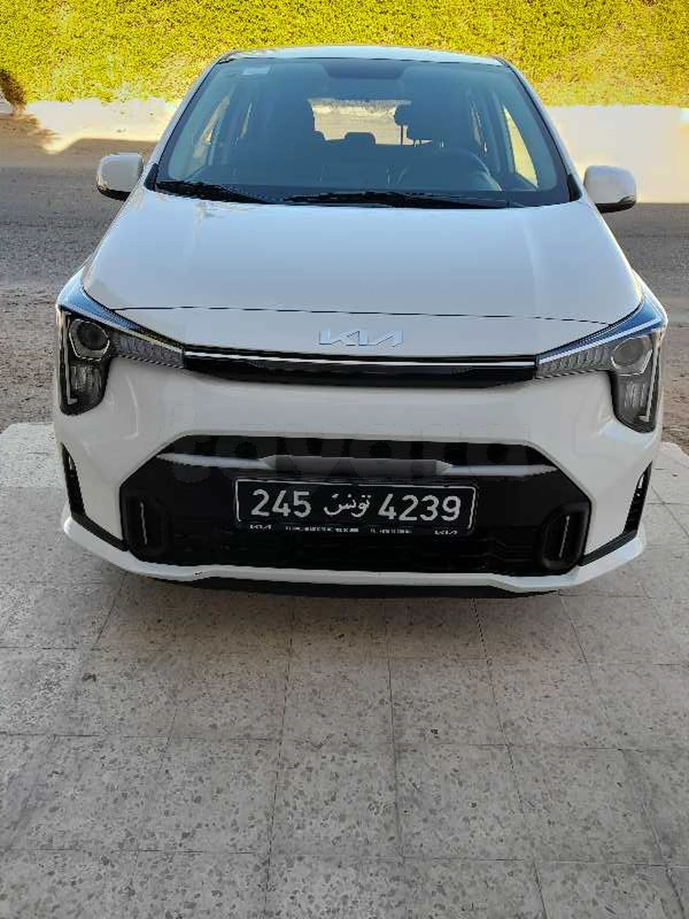 Carte voiture Kia Picanto